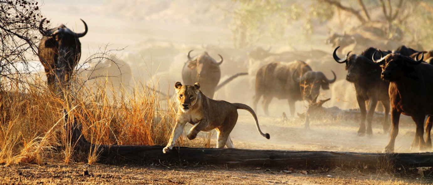 Kafue
