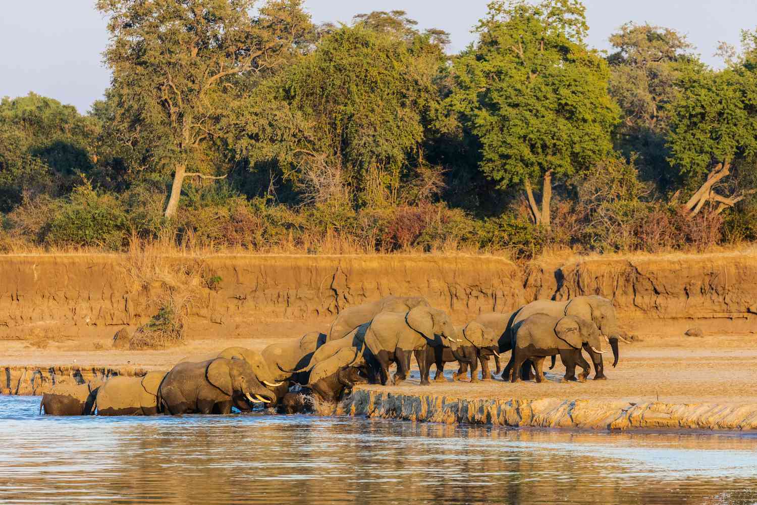 Luangwa Bend Camp